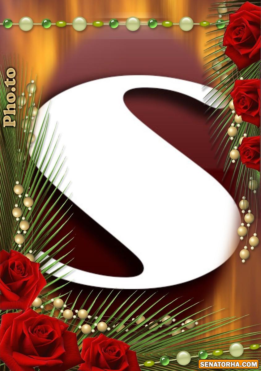 طراحیه زیبای* s * وب سایت سناتورها