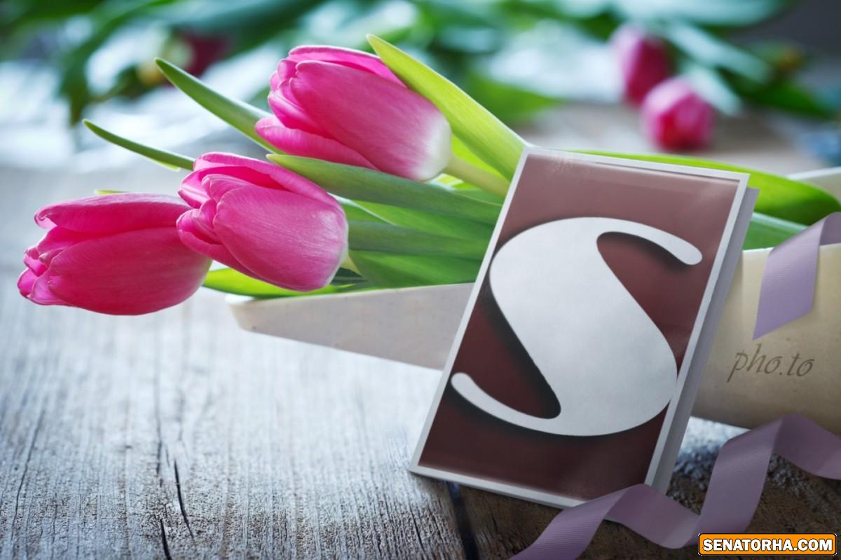 طراحیه زیبای* s * وب سایت سناتورها