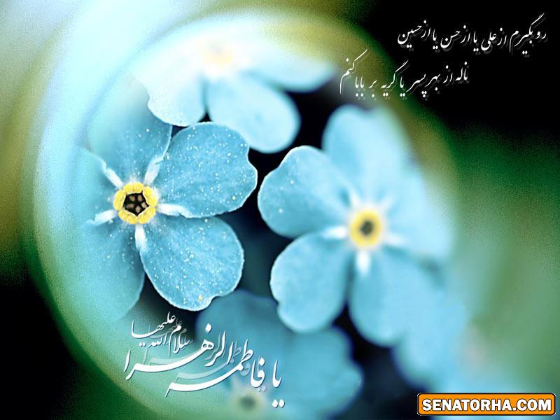 کارت پستال ویژه شهادت حضرت فاطمه (س)