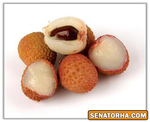 خواص گیاه رمبوتن ( میوه همانند انگور) و یا مژکی