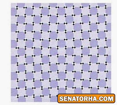 عکسهای دیدنی و جالب از خطای دید