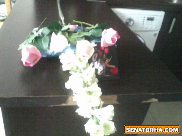 روز پدر و مرد بر همه بزرگ مردان سناتورها مبارک