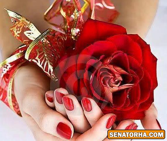 مدل طراحی ناخن 2014