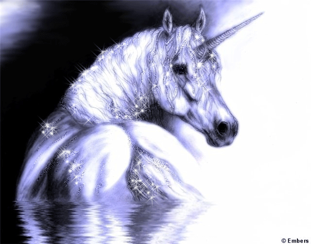 عکس اسبهای متحرک بسیار زیبا