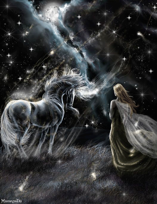 عکس اسبهای متحرک بسیار زیبا