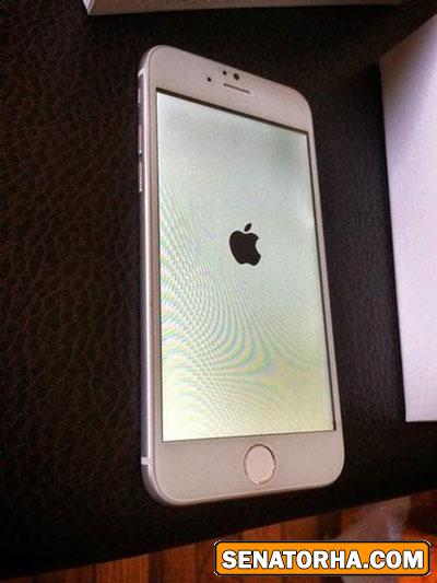 تصویر لو رفته آیفون6 آماده فروش در بازار/ بسیار نزدیک به واقعیت