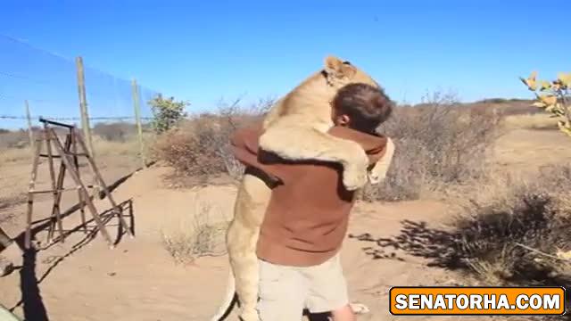 دوستی باورنکردنی شیر و انسان (فیلم)