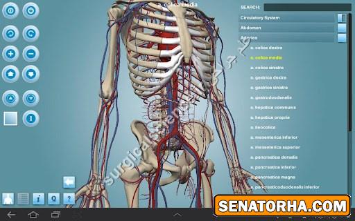 دانلود Anatomy 3D Pro – Anatronica 2.07 – آناتومی بدن انسان اندروید