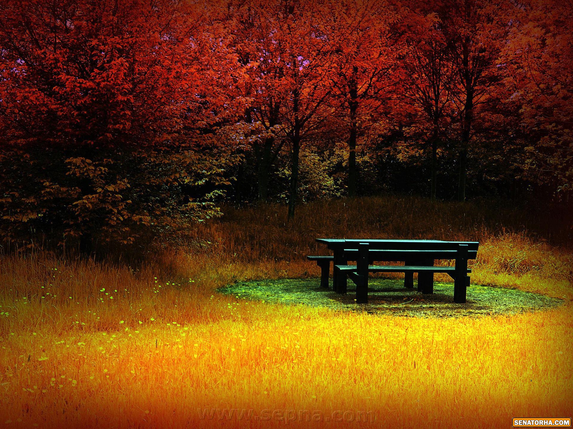 عكس هاي رمانتيك از فصل رويايي پاييز