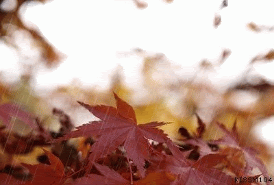 اس ام اس زیبا با موضوع باران