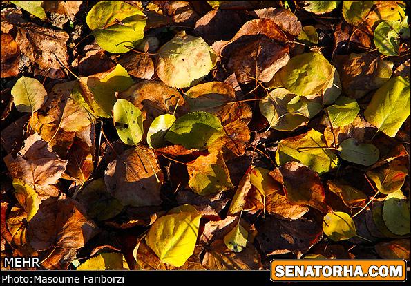 تصاویر  طبیعت پاییزی ارسباران