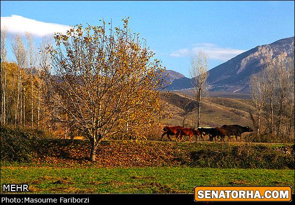 تصاویر  طبیعت پاییزی ارسباران
