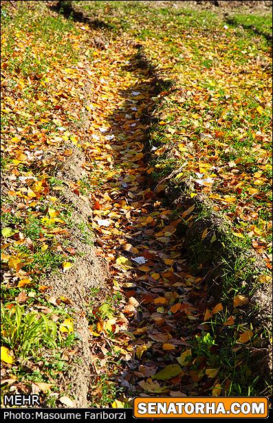 تصاویر  طبیعت پاییزی ارسباران