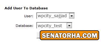 آموزش نصب وردپرس در CPanel