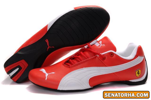 جدیدترین مدل کفش های (puma) پوما