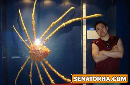 عکس غول پیکرترین حیوانات خارق العاده دنیا