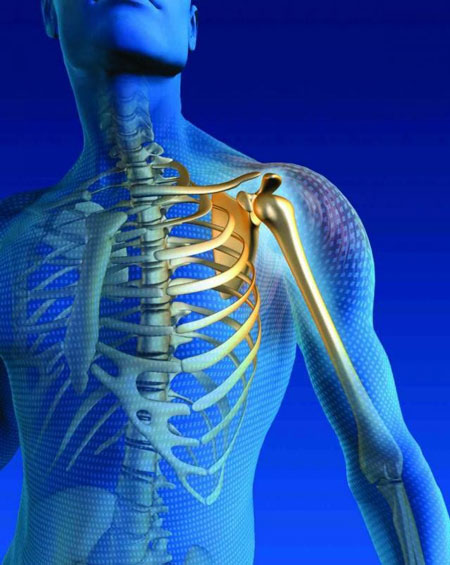 6 راه ساده برای تقويت استخوان‌ها