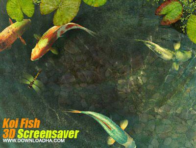 دانلود Koi Live Wallpaper 1.65 – لایو والپیپر آکواریوم برای اندروید