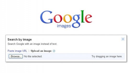 جستجوی عکس های مشابه یک عکس در گوگل