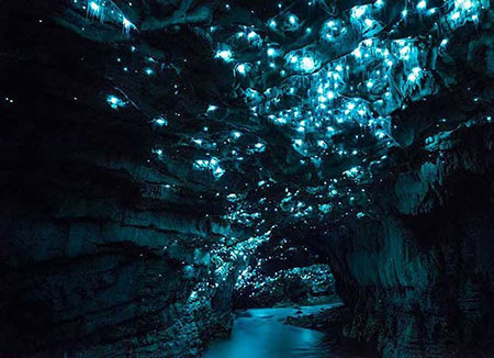 ﻿ ثصاویر زیبا از  غار همیشه درخشان وایتومو گلوورم در نیوزلند