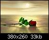 برای دیدن سایز بزرگ روی عکس کلیک کنید

نام:  redrose.jpg
مشاهده: 193
حجم:  32.9 کیلوبایت