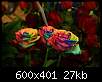 برای دیدن سایز بزرگ روی عکس کلیک کنید

نام:  3-roses.jpg
مشاهده: 45
حجم:  27.2 کیلوبایت