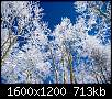 برای دیدن سایز بزرگ روی عکس کلیک کنید

نام:  Winter (3).jpg
مشاهده: 76
حجم:  713.0 کیلوبایت