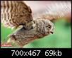 برای دیدن سایز بزرگ روی عکس کلیک کنید

نام:  owl(9).jpg
مشاهده: 43
حجم:  69.0 کیلوبایت