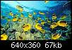 برای دیدن سایز بزرگ روی عکس کلیک کنید

نام:  165976_885.jpg
مشاهده: 40
حجم:  66.9 کیلوبایت