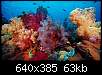 برای دیدن سایز بزرگ روی عکس کلیک کنید

نام:  165980_445.jpg
مشاهده: 43
حجم:  63.5 کیلوبایت