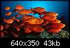برای دیدن سایز بزرگ روی عکس کلیک کنید

نام:  165987_463.jpg
مشاهده: 48
حجم:  43.0 کیلوبایت