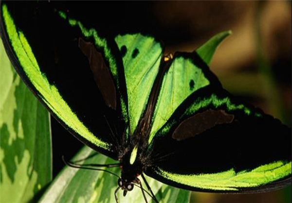 برای دیدن سایز بزرگ روی عکس کلیک کنید

نام:  13910530000406_PhotoL_V.jpg
مشاهده: 290
حجم:  148.1 کیلوبایت