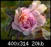 برای دیدن سایز بزرگ روی عکس کلیک کنید

نام:  normal_flowers-persianv-photo_(32).jpg
مشاهده: 46
حجم:  19.5 کیلوبایت