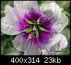 برای دیدن سایز بزرگ روی عکس کلیک کنید

نام:  normal_flowers-persianv-photo_(41).jpg
مشاهده: 45
حجم:  23.0 کیلوبایت
