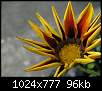 برای دیدن سایز بزرگ روی عکس کلیک کنید

نام:  این-گل-زیبا-توسط-&.jpg
مشاهده: 49
حجم:  96.1 کیلوبایت