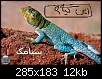 برای دیدن سایز بزرگ روی عکس کلیک کنید

نام:  139223542546900.jpg
مشاهده: 50
حجم:  11.8 کیلوبایت