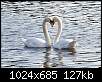 برای دیدن سایز بزرگ روی عکس کلیک کنید

نام:  Swan_23.jpg
مشاهده: 252
حجم:  126.8 کیلوبایت