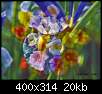 برای دیدن سایز بزرگ روی عکس کلیک کنید

نام:  normal_flowers-persianv-photo_(17).jpg
مشاهده: 47
حجم:  20.2 کیلوبایت