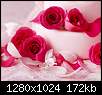 برای دیدن سایز بزرگ روی عکس کلیک کنید

نام:  Romantic_Events_Flowers_photo_067.jpg
مشاهده: 35
حجم:  171.7 کیلوبایت