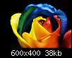 برای دیدن سایز بزرگ روی عکس کلیک کنید

نام:  rainbow-rose.jpg
مشاهده: 51
حجم:  37.5 کیلوبایت