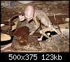 برای دیدن سایز بزرگ روی عکس کلیک کنید

نام:  Alien-Found-in-Mexico.jpg
مشاهده: 48
حجم:  122.5 کیلوبایت