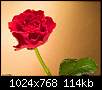 برای دیدن سایز بزرگ روی عکس کلیک کنید

نام:  rose5.jpg
مشاهده: 52
حجم:  114.3 کیلوبایت