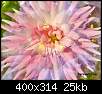 برای دیدن سایز بزرگ روی عکس کلیک کنید

نام:  normal_flowers-persianv-photo_(7).jpg
مشاهده: 46
حجم:  24.5 کیلوبایت