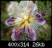 برای دیدن سایز بزرگ روی عکس کلیک کنید

نام:  normal_flowers-persianv-photo_(8).jpg
مشاهده: 42
حجم:  25.8 کیلوبایت