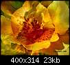 برای دیدن سایز بزرگ روی عکس کلیک کنید

نام:  normal_flowers-persianv-photo_(62).jpg
مشاهده: 40
حجم:  23.3 کیلوبایت