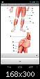 برای دیدن سایز بزرگ روی عکس کلیک کنید

نام:  Anatomy-Skeletal-Muscles4-168x300.jpg
مشاهده: 45
حجم:  12.4 کیلوبایت