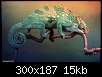 برای دیدن سایز بزرگ روی عکس کلیک کنید

نام:  12-5-16-95610chameleon-bug_-300x187.jpg
مشاهده: 24
حجم:  14.5 کیلوبایت