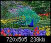 برای دیدن سایز بزرگ روی عکس کلیک کنید

نام:  peacock-spring-garden-stroll-lg.jpg
مشاهده: 96
حجم:  237.7 کیلوبایت
