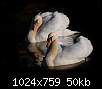 برای دیدن سایز بزرگ روی عکس کلیک کنید

نام:  Swan_26.jpg
مشاهده: 78
حجم:  50.0 کیلوبایت