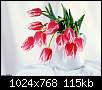 برای دیدن سایز بزرگ روی عکس کلیک کنید

نام:  tulips8.jpg
مشاهده: 62
حجم:  115.0 کیلوبایت
